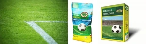 Boiskowa- trawa sportowa