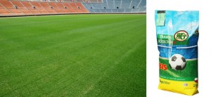 BOISKOWA BIS -bardzo wytrzymała