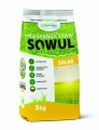 solar-worek.webp