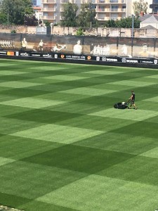 Życica Trwała  DOUBLE ciemnozielona