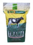 KOŚNO-KISZONKOWA KP-1 TURBO 10 kg (JARA)
