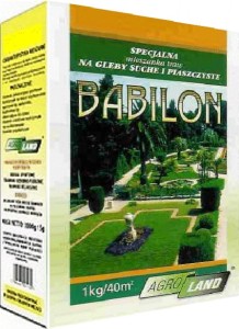 Babilon - na pustynię