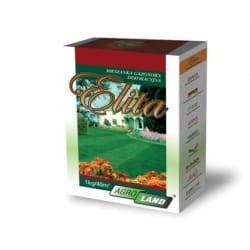 Elita -piękny drobniutki liść